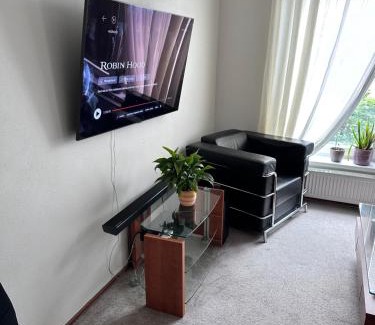 Brno-stred Apartment | Old Town Apartments Zderadova 6