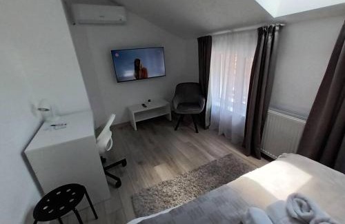 Baia Mare Apartment | Old Town Studio 2 Apartment nr 3