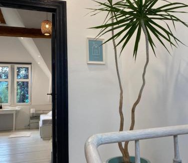 Bernister House | Old Town Suites