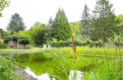 Meisenheim Apartment | Old Villa Meisenheim - 4-bed apartment