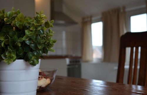 Schillig Apartment | Oldeoogweg 7b