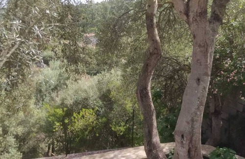 Sorso House | Olea House located in the countryside and close to everything you want.
