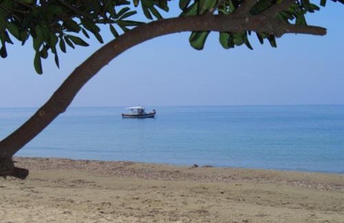 Kourouta House | Olga's Garden Home - Douneika