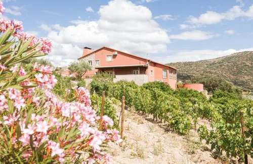 Cabanas de Baixo House | Olhares do Douro