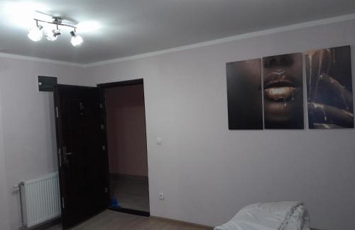 Stari Banovci Apartment | Olimpic Apartmani BG