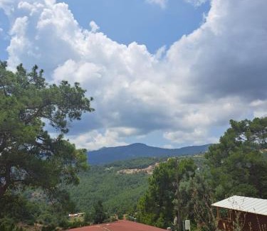 Olympos Bed & Breakfast | Olimpos Altun Pansiyon