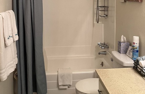 Lemoore Apartment | Olive B Cottage