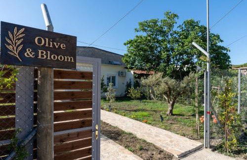 Berat Villa | "Olive & Bloom" entire vila with Pool & Private Parking