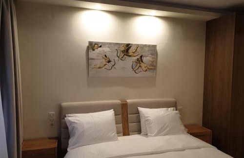 Karditsa Apartment | Olive Deluxe Apartment