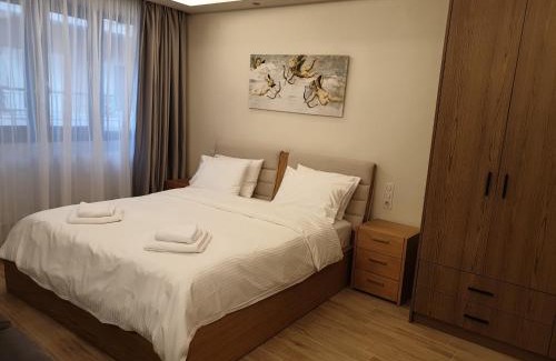 Karditsa Apartment | Olive Deluxe Apartment