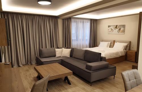 Karditsa Apartment | Olive Deluxe Apartment