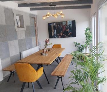 Petrovaradin Villa | Olive garden house