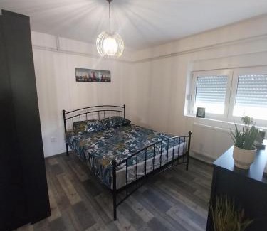 Petrovaradin Villa | Olive garden house