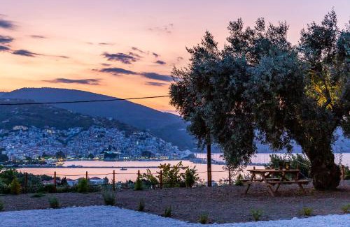 Skopelos Apartment | Olive Grove Apartment