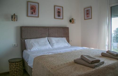 Bar Apartment | Olive Grove