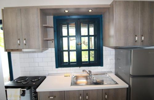 Elia Nikitis Apartment | Olive House
