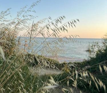 Zalongo House | Olive House Seaside