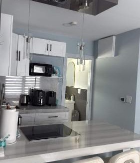 West Palm Beach Apartment | Olive Studio Apart Unit 3 By Pmi