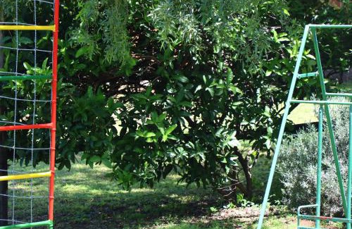 Magaliesberg Bed & Breakfast | Olive Tree Farm