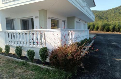 Pangaio Apartment | Olive Waves apartments