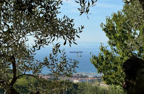 Izola Apartment | OLIVES HOUSE in Izola