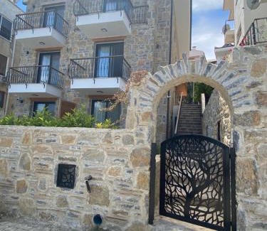 Datca City Center Bed & Breakfast | olives tree