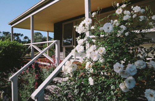 Yanakie Bed & Breakfast | Olivi