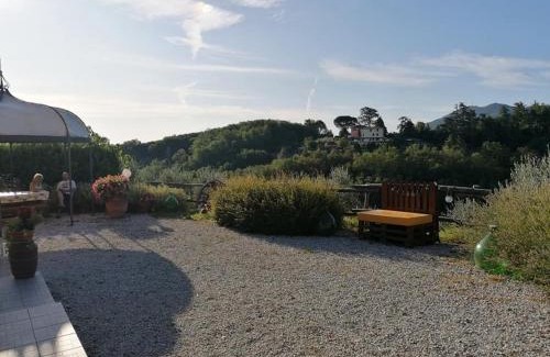 Cantagrillo Bed & Breakfast | Olivia B&B and Apartment
