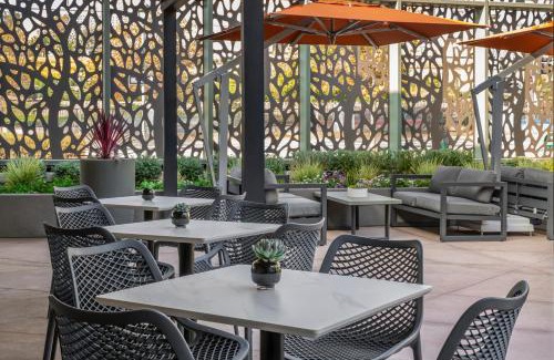 West Los Angeles Hotel | Olivia Hotel
