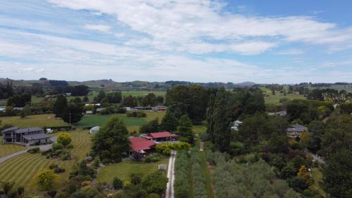 Opaki Bed & Breakfast | Olivista