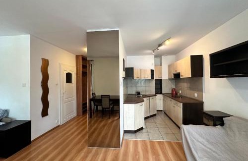 Oliwa Apartment | Olivka STUDIO i PARKING