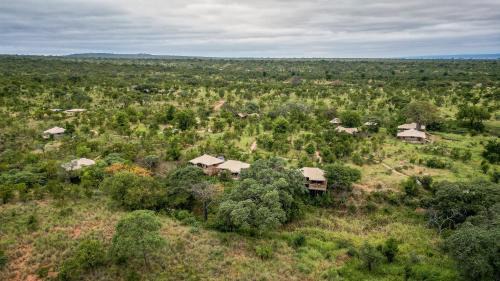 Tarangire National Park Other | Olkeri Camp