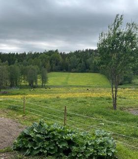 Munkedal House | Olletorp