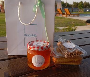 Pyrgos Apartment | Olympia Suites