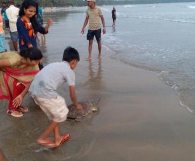 Devbag House | Om Atharva Beach Homestay Malvan
