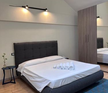 Pavia Apartment | OMA Apartment Pavia