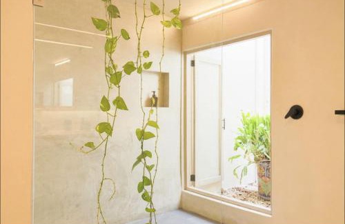 Alfredo V. Bonfil Apartment | OMA CANCUN - Holistic Healing Center