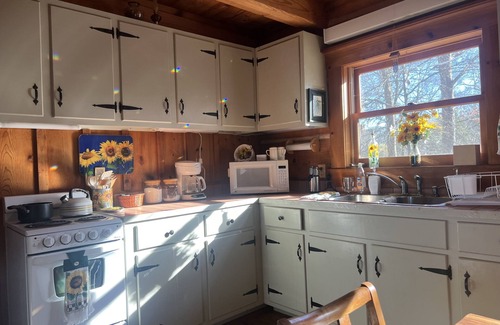 Houston Cabin | Oma's Cabin on Arkansas River - cozy remote cabin overlooking the Arkansas River