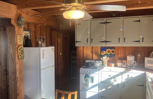 Houston Cabin | Oma's Cabin on Arkansas River - cozy remote cabin overlooking the Arkansas River