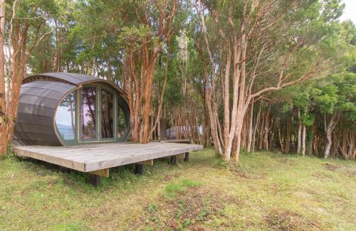 Quellon Apartment | On a remote island surrounded by pure nature
