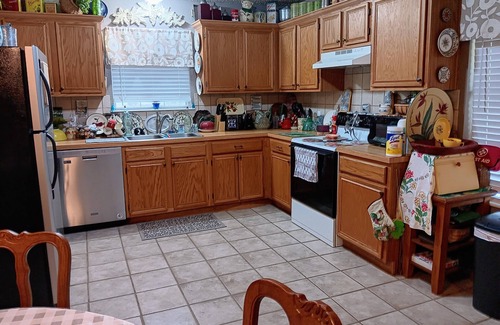 Canton House | On beautiful small private lake, less than 1 mile to First Monday shopping