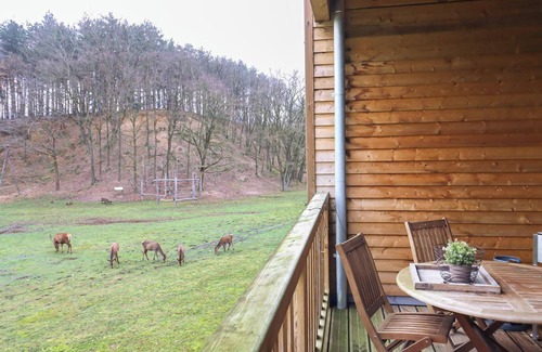 Maaseik Apartment | On cycling holiday with the whole family!