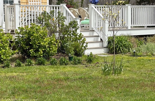 Eastham Cottage | On Town Cove with salt water access! Kayaks and paddle board available for use!