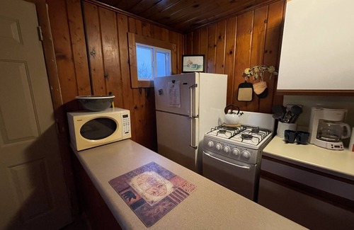 Oscoda Resort | One Bedroom Cabin 50 feet from Lake Huron, sleeps 2