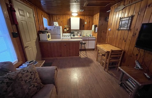 Oscoda Resort | One Bedroom Cabin 50 feet from Lake Huron, sleeps 2