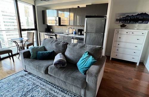 Downtown Winnipeg Apartment | One bed downtown laundry wifi across from the Jets arena