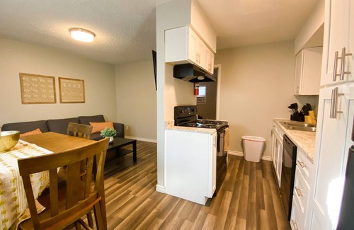 Central Arlington Apartment | One bed/One bath/full kitchen Apt. - 1 mile from AT&T Stadium 🏟