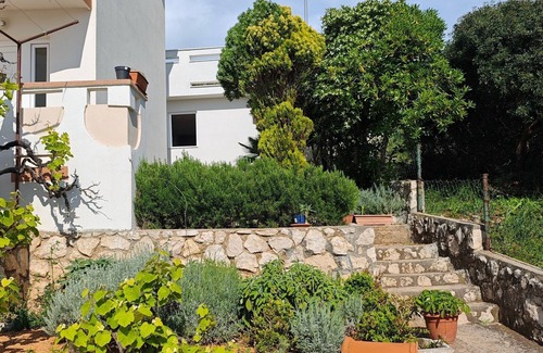 Stara Novalja Apartment | One bedroom apartment near beach Stara Novalja, Pag (A-13938-b)