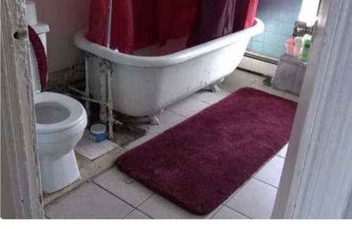 Stapleton Apartment | One bedroom Apartmnt