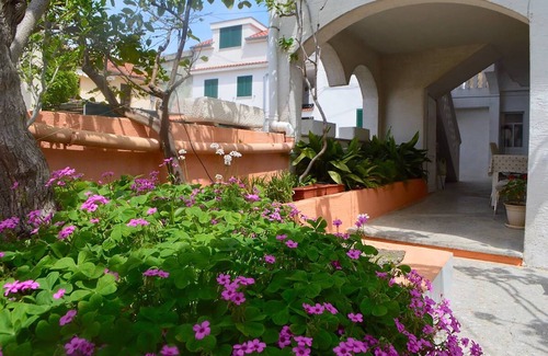 Lukoran Apartment | One bedroom apartment with terrace Lukoran, Ugljan (A-23830-a)